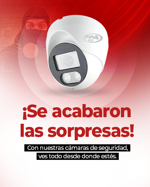 Seguridad